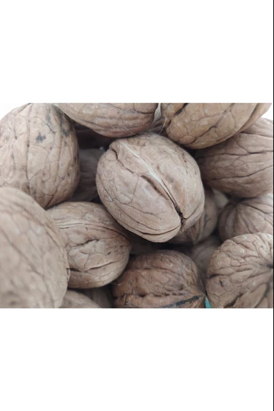 Ceviz 12221 Ince Kabuk Kolay Kırılır Chandler Kendi bahçemizden Doğal Üretim 3Kg - 4