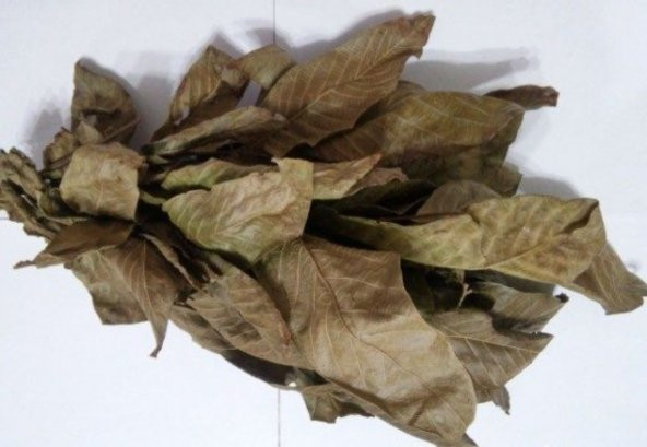 Kuru ceviz yaprak özel gölge kurutma organik doğal 300 gram