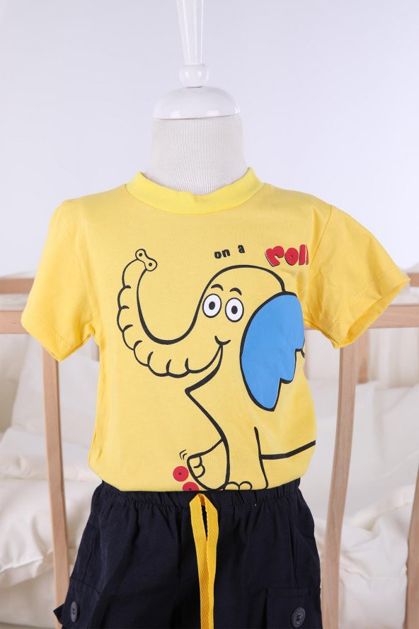 Yazlık Erkek Şort Tshirt Takım 02041 - 3