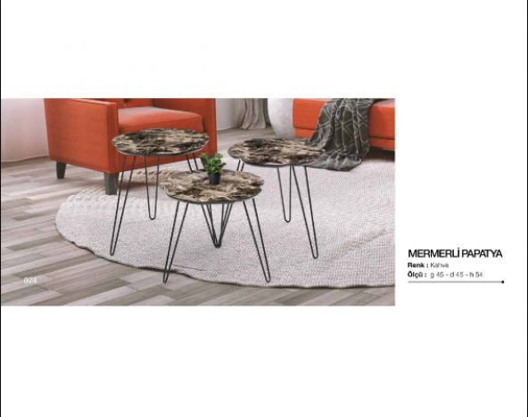 Zigon OSM 11797 Papatya Model sehpa Metal Çelik Siyah V Ayak Ahşp glosmaks Tabla