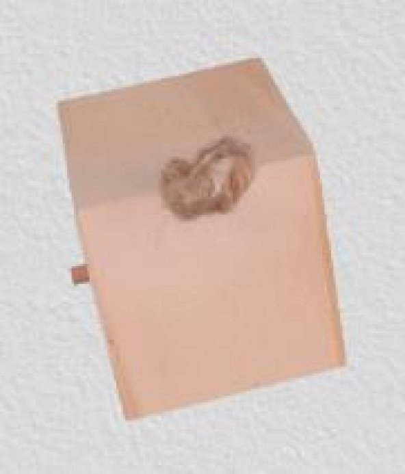 Hobi 90025 Dekoratif Model Minik Kuş Yuvası Ahşap HAM MDF El Yapımı