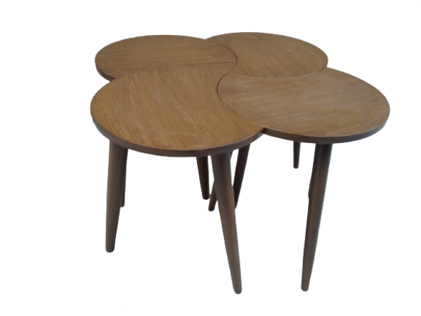 Zigon-Orta 19618 Sehpa Takım HİLAL Model Parlak Ceviz Kayın RETRO Ayak El Yapım - 3
