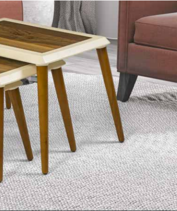 Zigon OSM 11829 Çerçeve Model Sehpa Parlak Ceviz Krem Ahşap Kayın ayak El Yapım - Resim 3