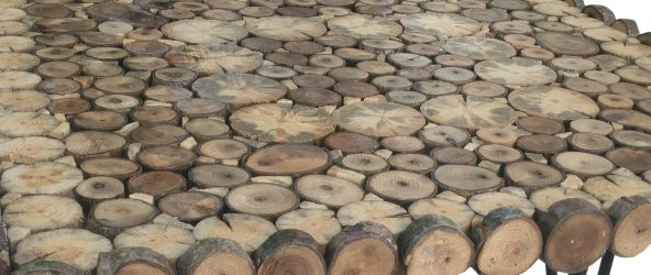 Orta Sehpa 18145 Kütük doğal Ağaç Dalı Kesme Model Metal Ayak Üstü Cam El Yapım - Resim 4