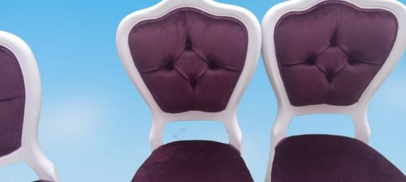 Sandalye 90147 Klasik Model Kayın Aslan ayak Parlak Beyaz babyface kumaş El Yapım - 5