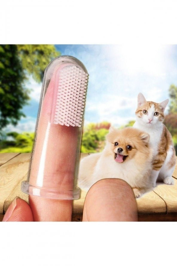 Kedi Ve Köpek Parmak Diş Fırçası Saklama Kutulu Kolay Kullanımlı Evcil Hayvan Diş Bakım Fırçası - 3