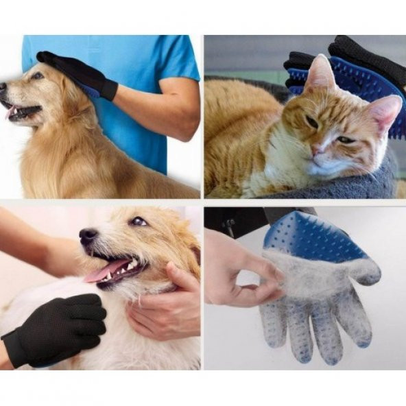 Köpek Kedi Evcil Hayvan Tüy Toplama Eldiveni Mavi - 2