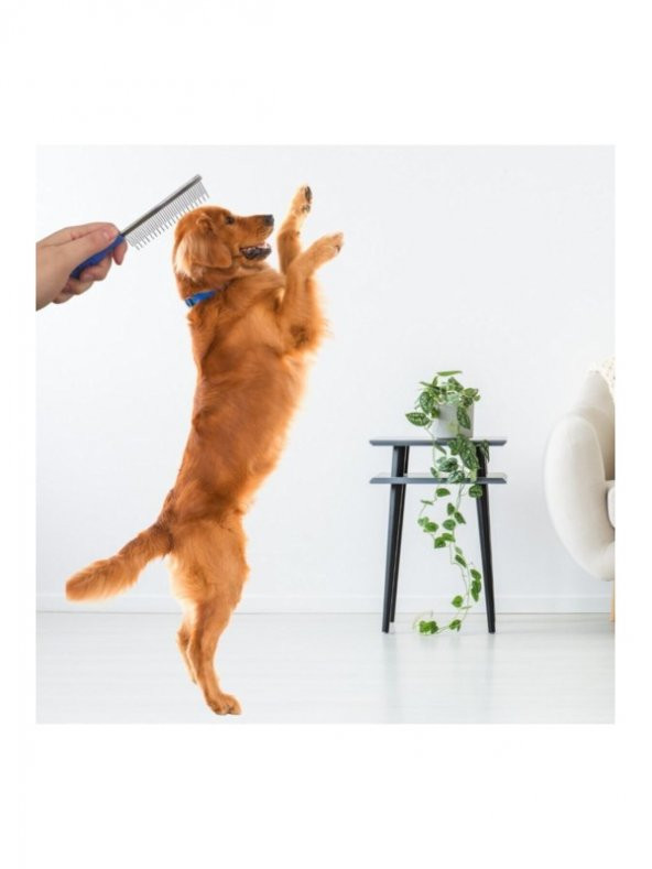 Kedi Köpek Kıtık Tüy Açıcı Metal Tarak - Resim 2