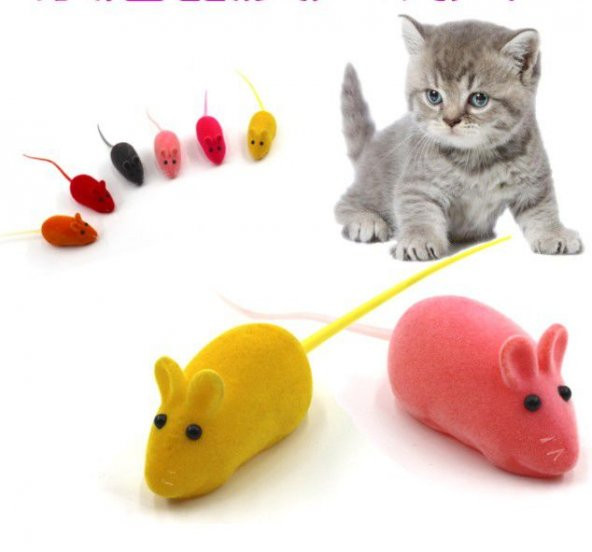 Kedi Eğitim Oyun Faresi Sesli 1 adet - 3