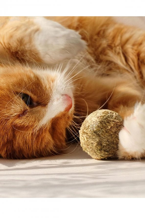 Doğal Yenilebilir Kedi Nanesi Otu Oyun Topu Oyuncağı Cat Mint Top Oyuncak Catnipli - 3