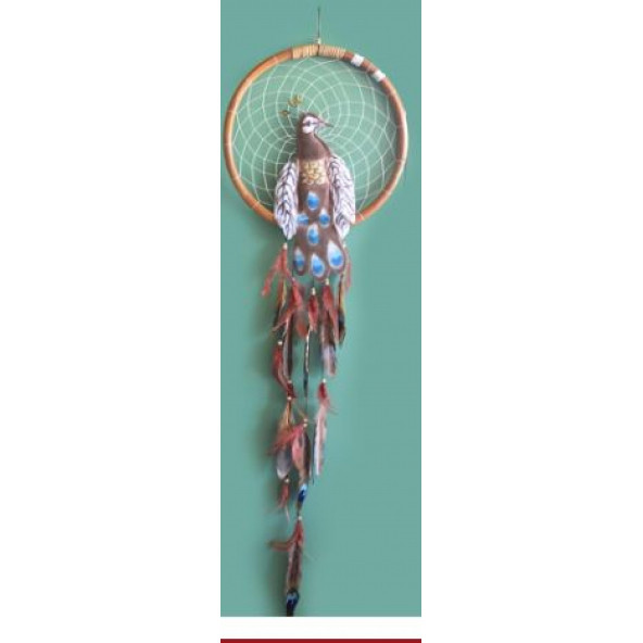 Tavuskuşu Rüya Kapanı Dream Catcher