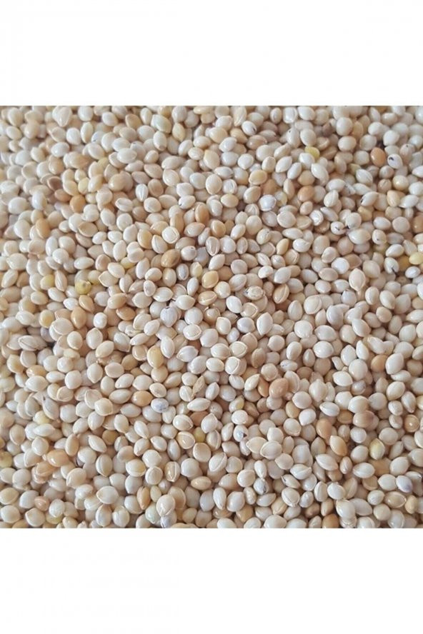 ASTARIM Akdarı Muhabbet Kuş Yemi 5 Kg - 1