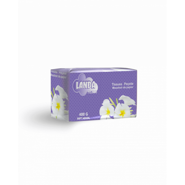 AREX LANDA Peçete 400 Gr. - 3 Paket X 400 Gr.(3 X 400 Adet- Toplam 1200 adet) - 2