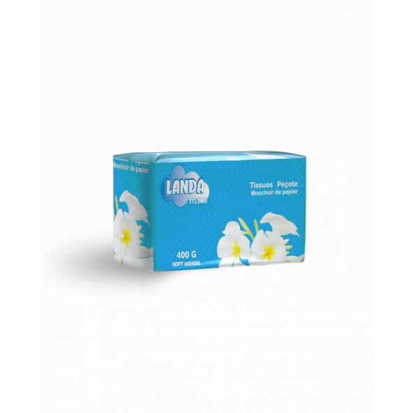 AREX LANDA Peçete 400 Gr. - 3 Paket X 400 Gr.(3 X 400 Adet- Toplam 1200 adet) - 4