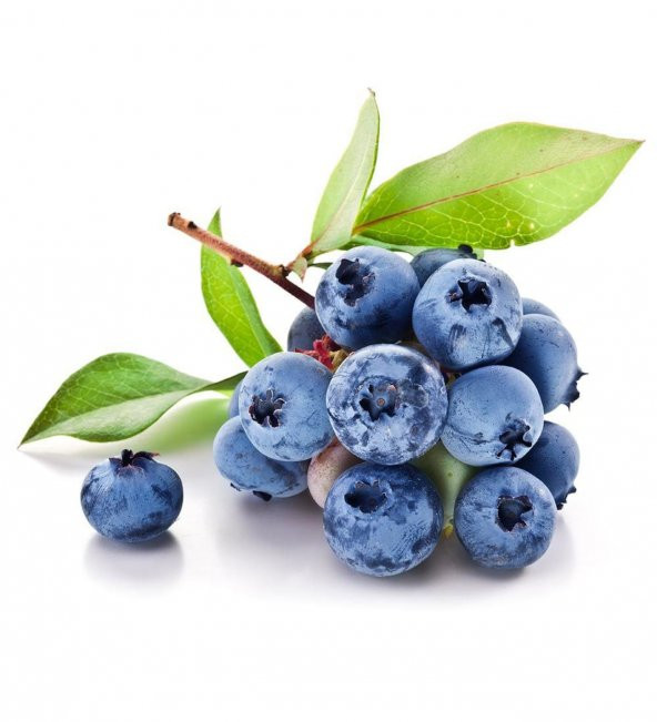 Yaban Mersini Tohumu Blueberry Tohumu - 2