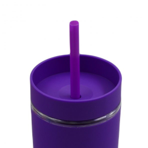 BottleBoss Çift Katmanlı Pipetli Sızdırmaz Kapak Bardak Matara 480 Ml Mor - 2