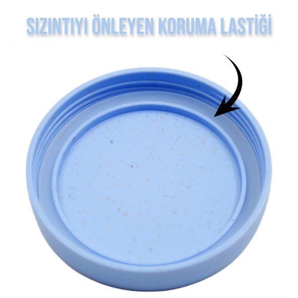 BottleBoss Naturel Seri Sızdırmaz Kapak Bardak Matara 300 Ml Mavi - 4