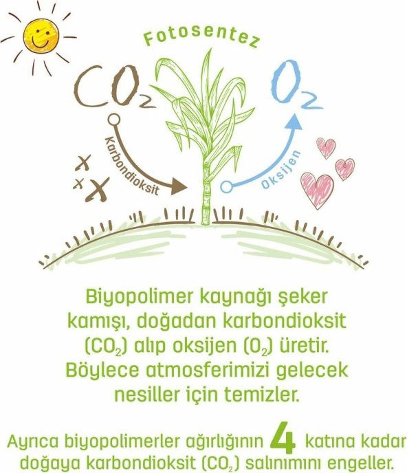 Sleepy Bio Natural Islak Havlu 12 x 40 Yaprak 480 Yaprak - 4