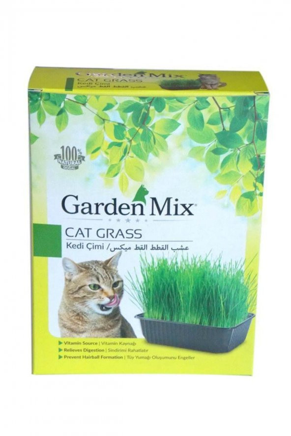 Gardenmix Garden Mix Kedi Çimi 13 - 18 Cm