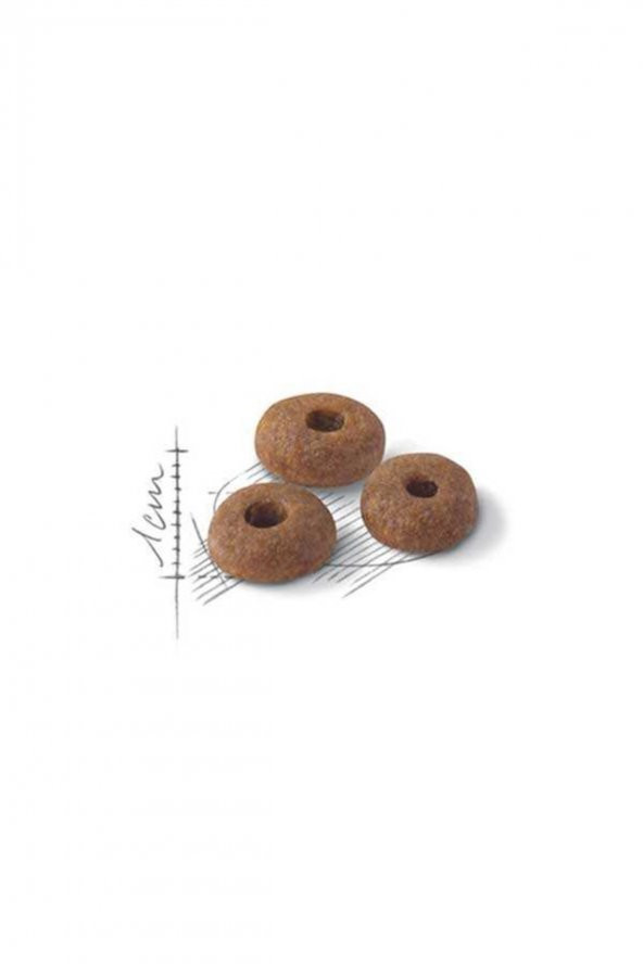 Royal Canin Fit 32 Kedi Maması 15 Kg - 2
