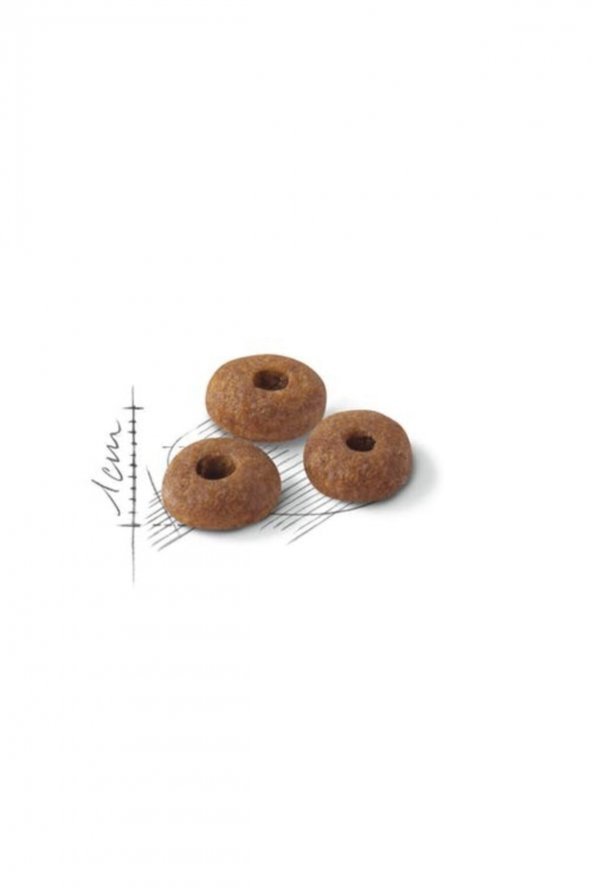 Royal Canin Fit 32 Kedi Maması 15 Kg - 2