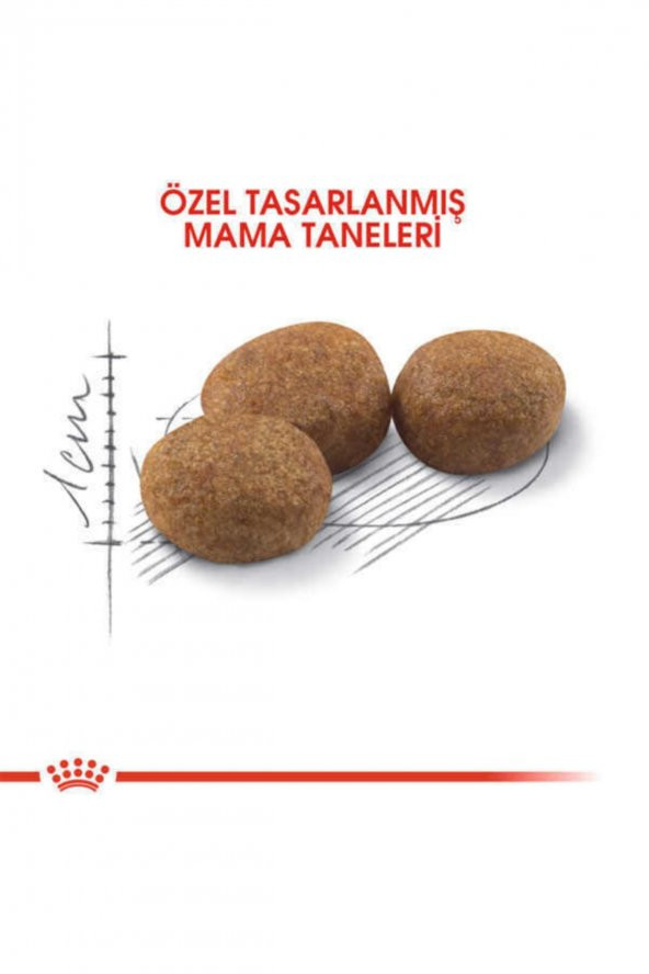 Royal Canin Sterilised 37 Kısırlaştırılmış Yetişkin Kedi Maması 15 Kg - 3