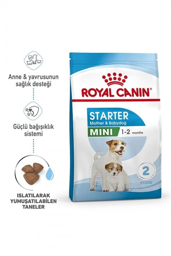 Royal Canin Mini Starter Anne Ve Yavru Köpek Maması 4 Kg