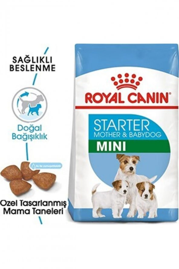 Royal Canin Mini Starter Mother _ Babydog Küçük Irk Yavru Köpek Maması 4 Kg