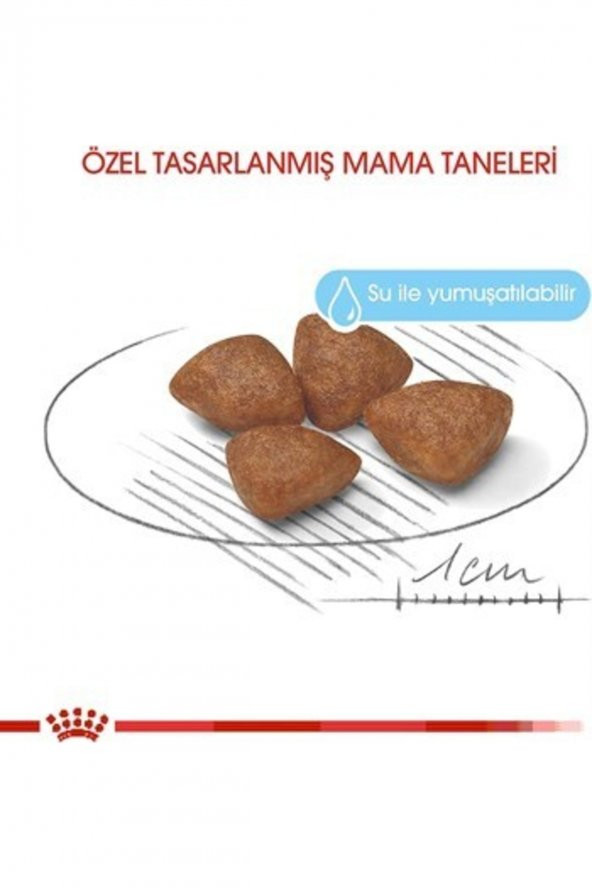 Royal Canin Mini Starter Mother _ Babydog Küçük Irk Yavru Köpek Maması 4 Kg - 2