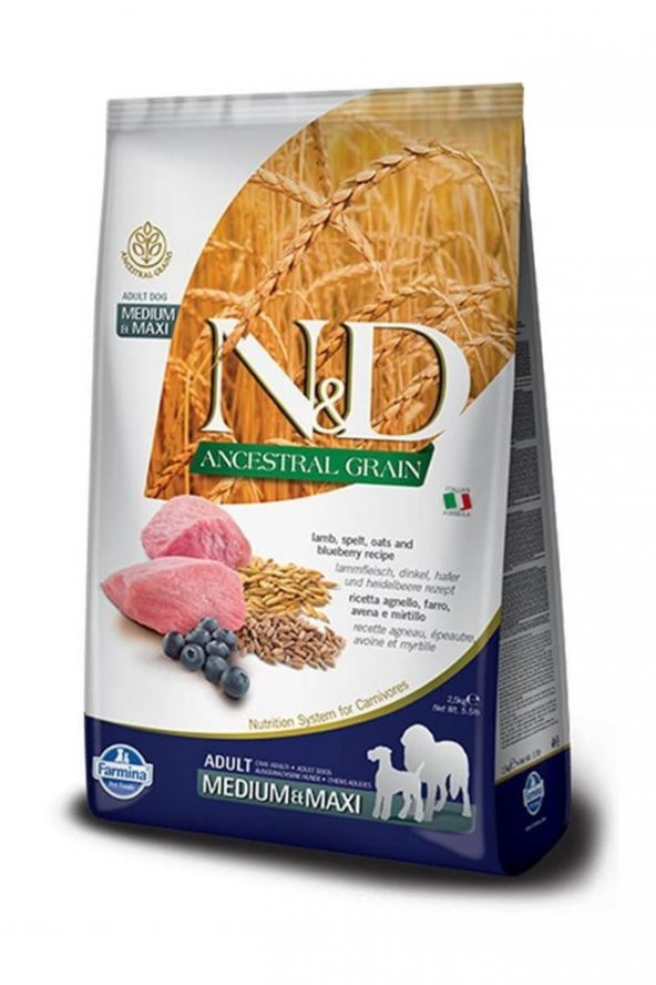 N&D Ancestral Grain Düşük Tahıllı Kuzu Etli ve Yaban Mersinli 12 kg Orta Büyük Irk Yetişkin Köpek Maması
