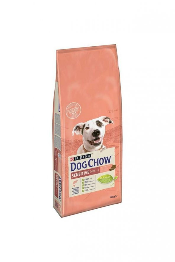Dog Chow Sensitive Somonlu ve Pirinçli 14 kg Yetişkin Köpek Maması