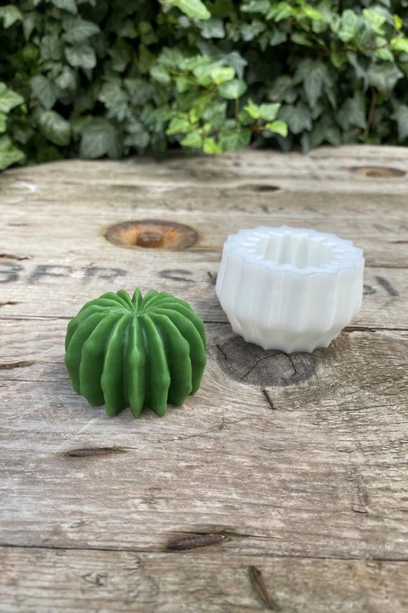 Ball Kaktüs Mum Kalıbı ( Silikon ) 1 Adet ürün görseli