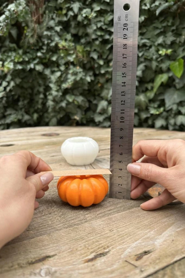 Munchkin Küçük Boy Mum Kalıbı (Silikon) (1 Adet) - Resim 2