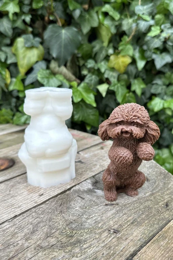 Shih Tzu Köpek Mum Kalıbı (Silikon) (1 Adet) - Resim 5