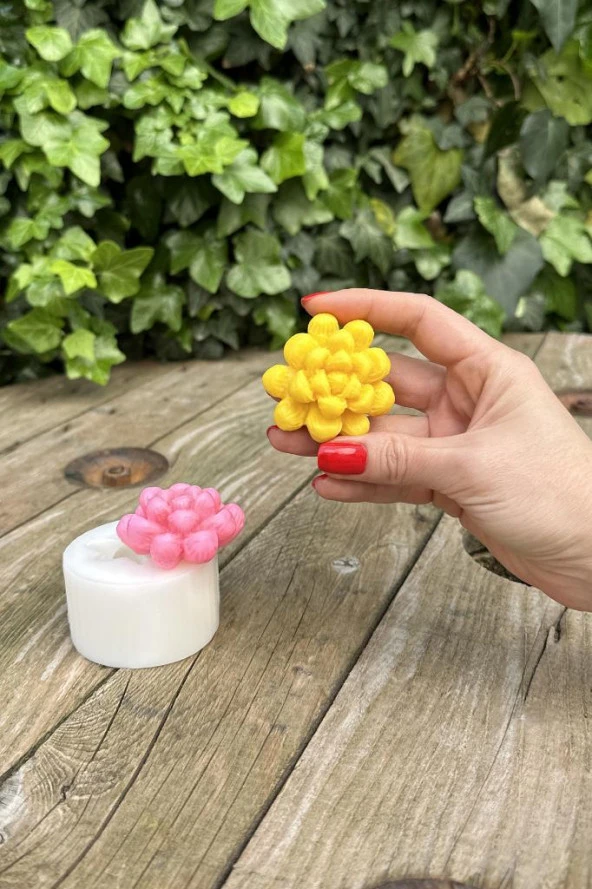 Obtusa Sukulent Mum Kalıbı (Silikon) (1 Adet) - Resim 3