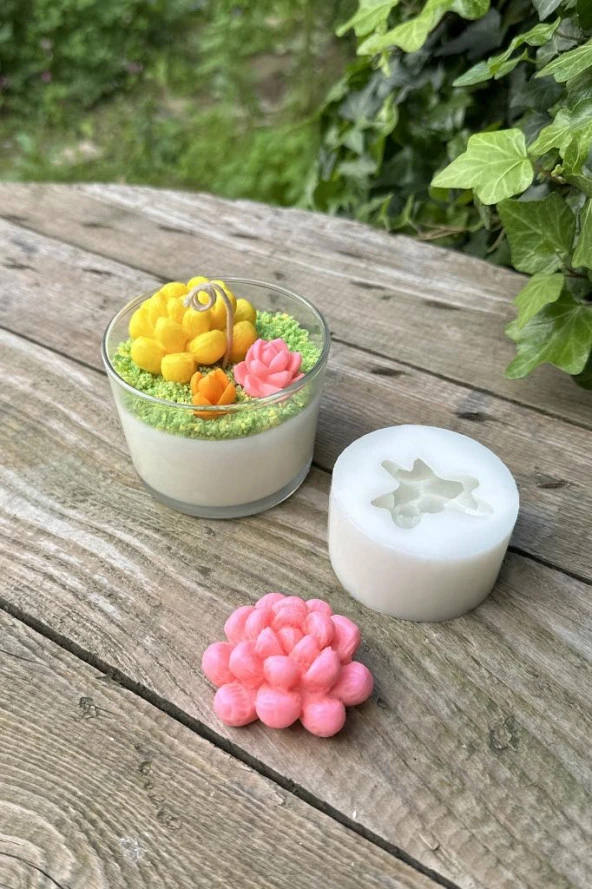 Obtusa Sukulent Mum Kalıbı (Silikon) (1 Adet) - Resim 5