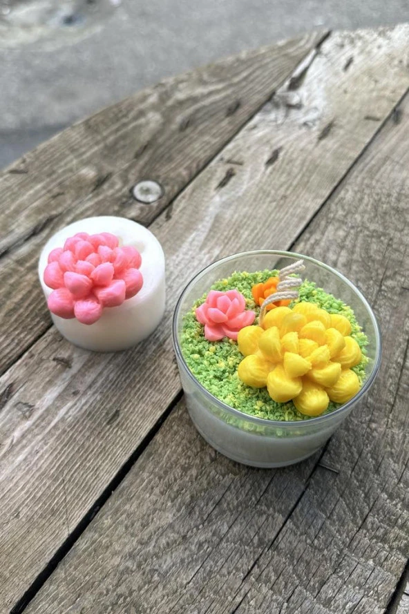 Obtusa Sukulent Mum Kalıbı (Silikon) (1 Adet) - Resim 6