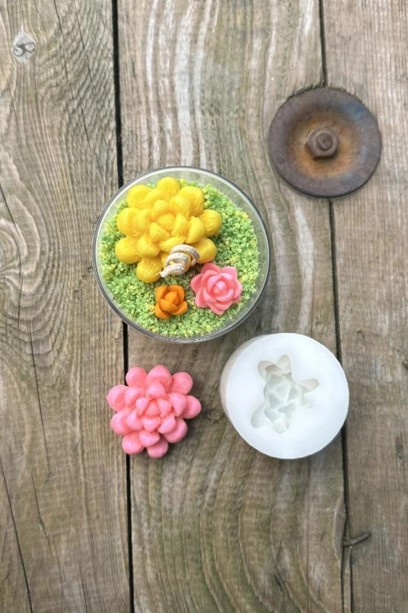 Obtusa Sukulent Mum Kalıbı (Silikon) (1 Adet) - Resim 7