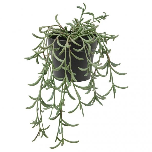 IKEA Fejka Yapay Bitki Senecio Radicans - 13 cm