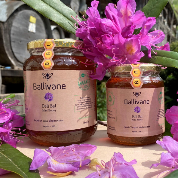 Murgul Kabarcet Orman Gülü Balı (Mad Honey) 500 gr.