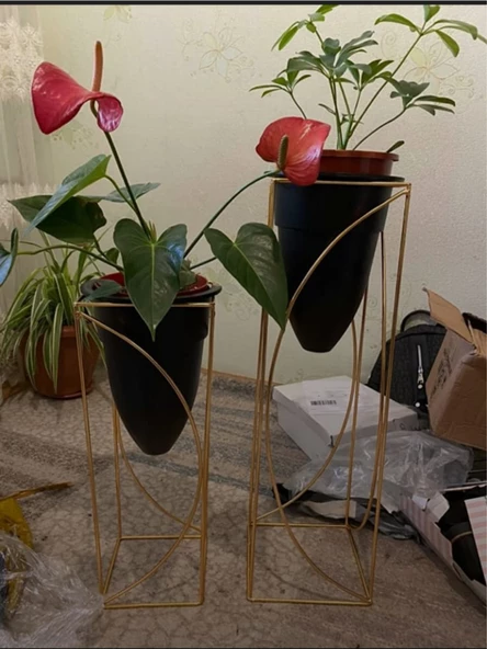 Metal 2'li Metal Gold Ayaklı Dekoratif Siyah Saksı Çiçeklik Vazo FLYON-HSN102 - 7