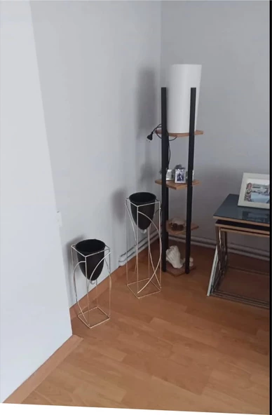 Metal 2'li Metal Gümüş Ayaklı Dekoratif Siyah Saksı Çiçeklik Vazo FLYON-HSN102 - 4