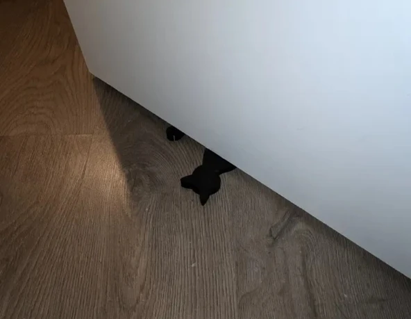 Sıkışmış Kedi Kapı Stoperi - 2