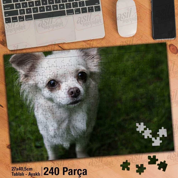 Asil Hobi Beyaz Tüylü Chihuahua - Cins Köpek- Çimen Yapboz -Ayak Destekli Çerçeveli 240 Parça Puzzle
