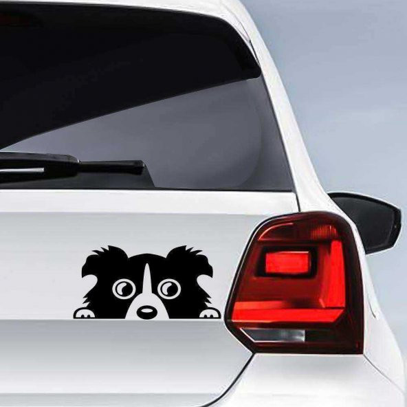 Bagajdan Çıkan Sevimli Köpek Sticker - Araç Oto Araba Etiket, Çıkartma - Aksesuar -Modifiye -Arma