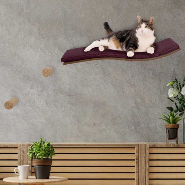 Wodoti "S" Kedi Duvar Tipi Yatak - 5