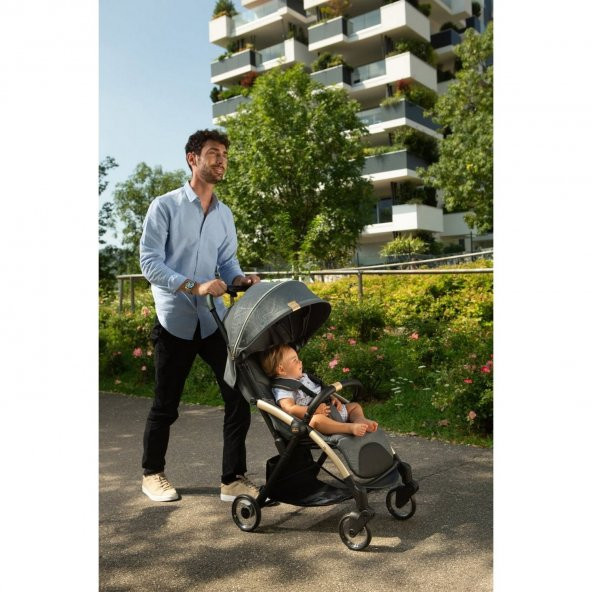 Chicco Goody Plus Bebek Arabası - 2