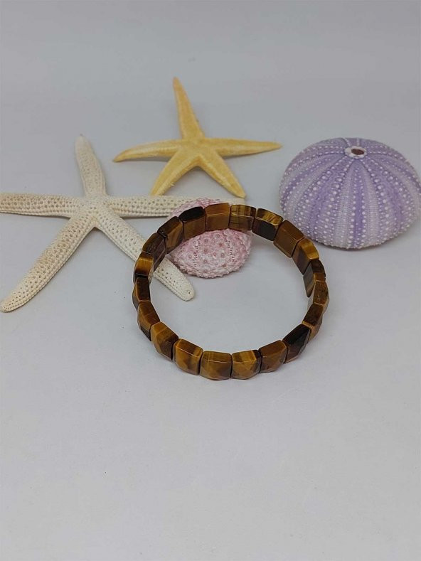 Kaplan Gözü Taşı Unisex Bileklik ürün görseli