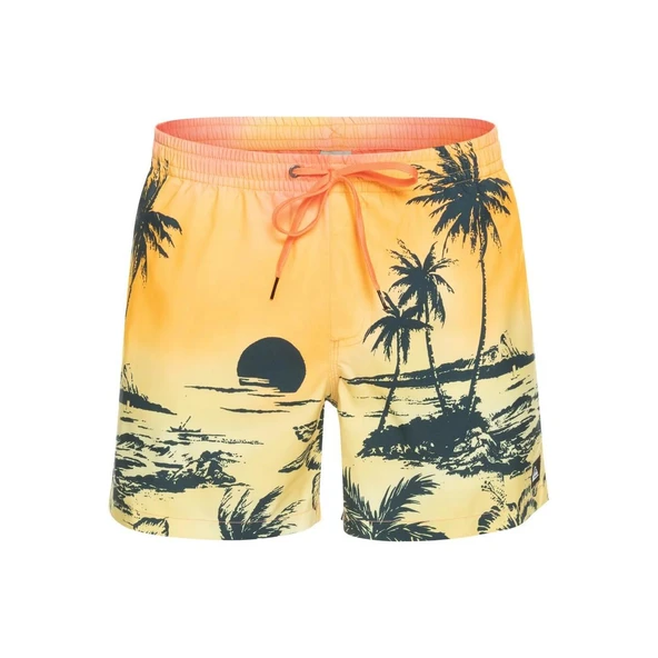 Quiksilver EQYJV03999 Paradise 15 M Jamv Erkek Şort Mayo