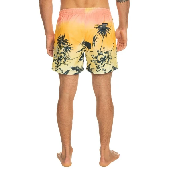 Quiksilver EQYJV03999 Paradise 15 M Jamv Erkek Şort Mayo - Resim 6